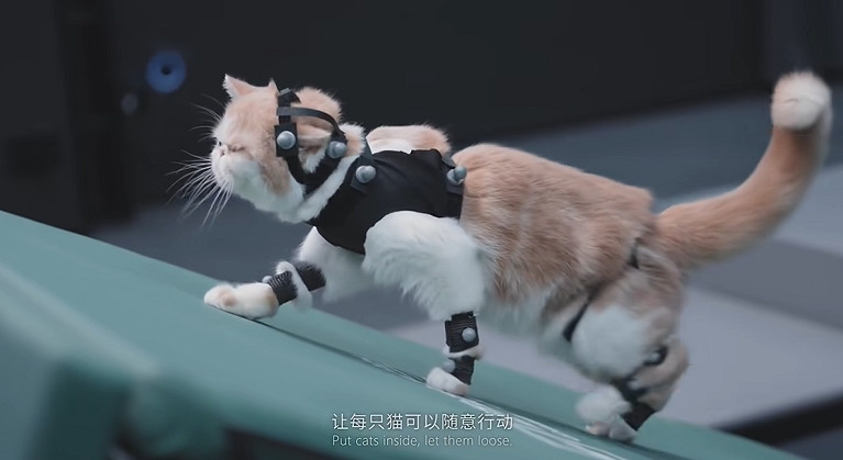 個個都是高顏值!《黑神話:悟空》部分角色臉模匯總 個個都是高顏值!《黑神話:悟空》部分角色臉模匯總