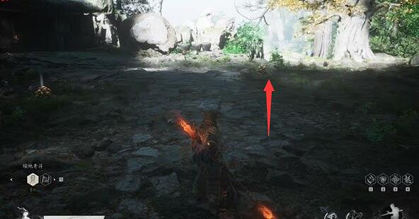 《黑神話悟空》猴頭菌種子獲取方法