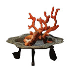 《黑神話悟空》泡酒物全圖鑒一覽 《黑神話悟空》泡酒物全圖鑒一覽