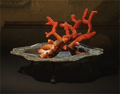 《黑神話悟空》泡酒物全圖鑒一覽 《黑神話悟空》泡酒物全圖鑒一覽