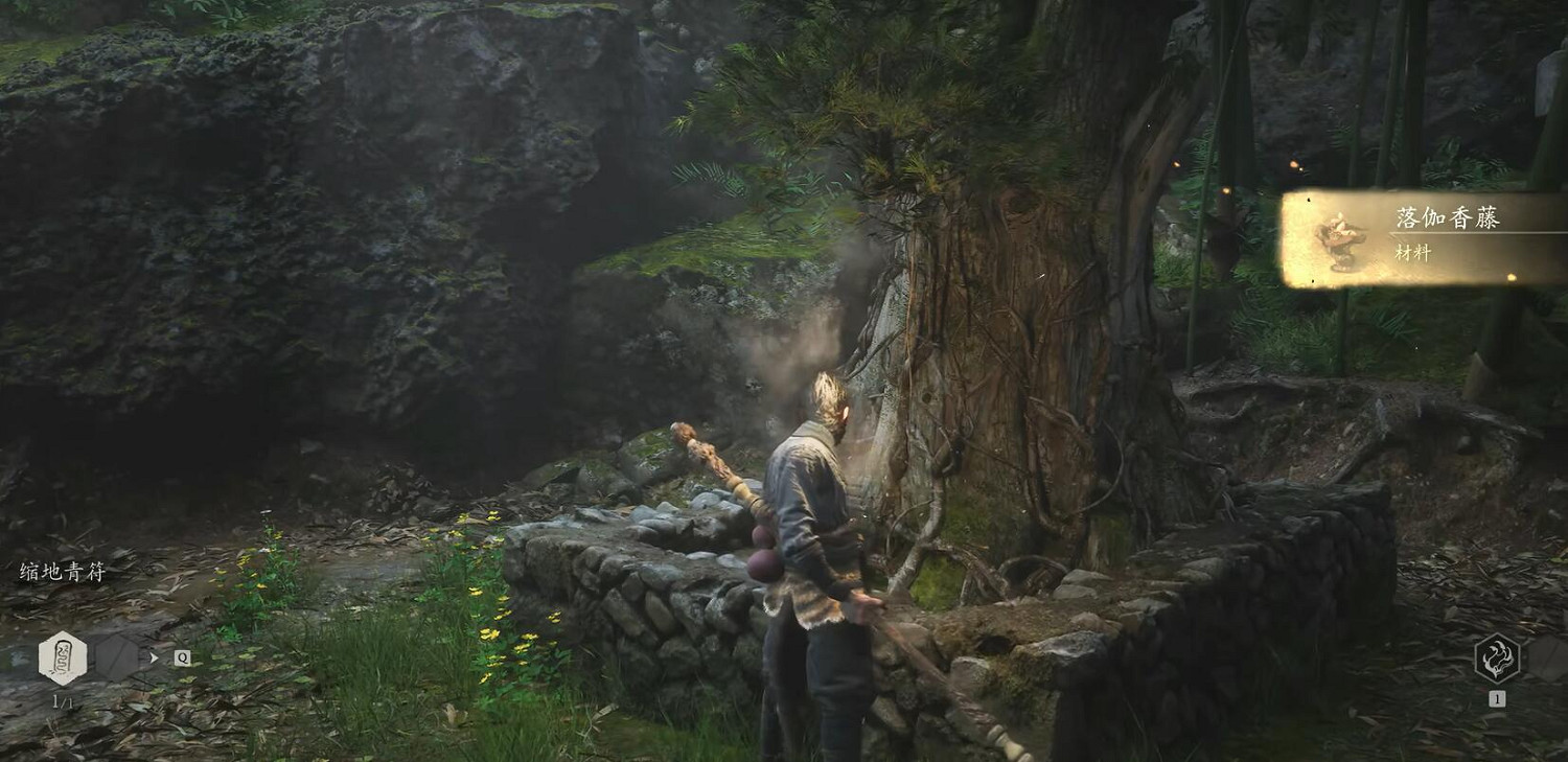 《黑神話悟空》落伽香藤收集位置一覽 《黑神話悟空》落伽香藤收集位置一覽