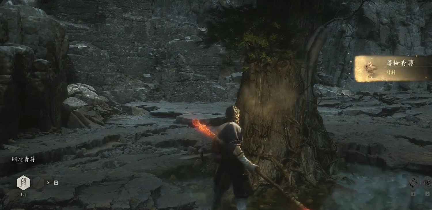 《黑神話悟空》落伽香藤收集位置一覽 《黑神話悟空》落伽香藤收集位置一覽
