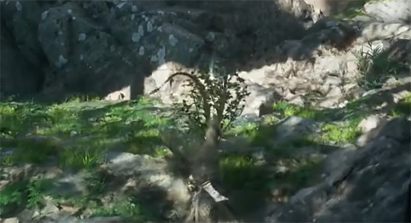 《黑神話悟空》全種子全收集攻略 《黑神話悟空》全種子全收集攻略