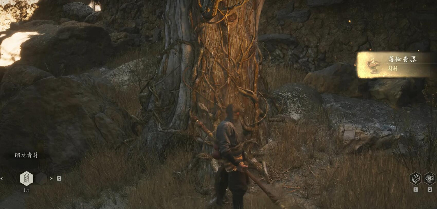 《黑神話悟空》落伽香藤收集位置一覽 《黑神話悟空》落伽香藤收集位置一覽
