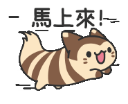 寶可夢連動《貓貓蟲咖波》！推出超魔性寶可夢貼紙！