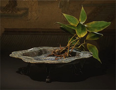 《黑神話悟空》泡酒物全圖鑒一覽 《黑神話悟空》泡酒物全圖鑒一覽