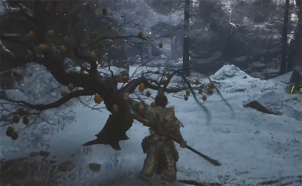 《黑神話悟空》全種子全收集攻略 《黑神話悟空》全種子全收集攻略