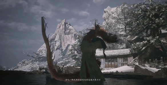 《黑神話悟空》特質堅骨丸作用用法介紹 《黑神話悟空》特質堅骨丸作用用法介紹