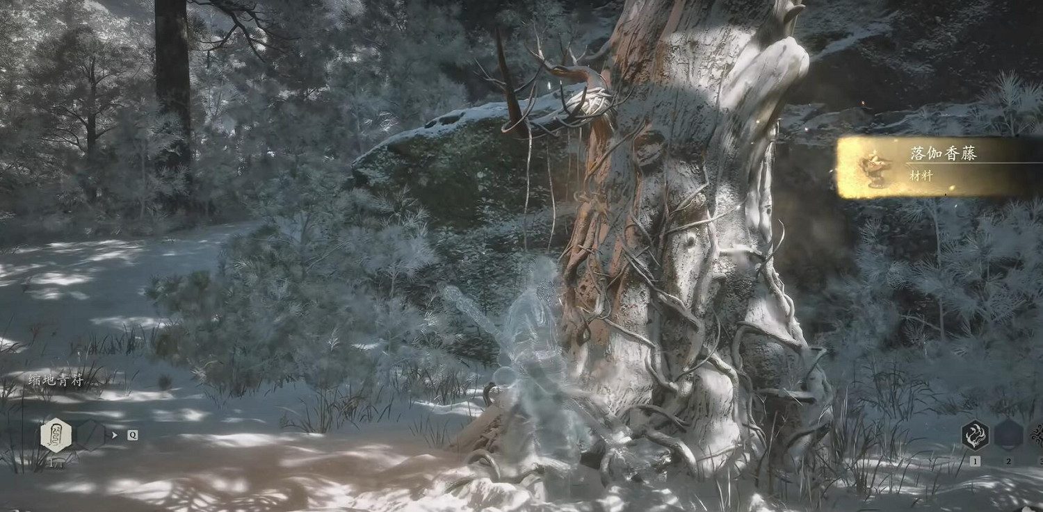 《黑神話悟空》落伽香藤收集位置一覽 《黑神話悟空》落伽香藤收集位置一覽