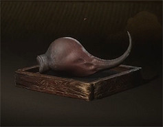 《黑神話悟空》泡酒物全圖鑒一覽 《黑神話悟空》泡酒物全圖鑒一覽