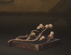 《黑神話悟空》泡酒物全圖鑒一覽 《黑神話悟空》泡酒物全圖鑒一覽