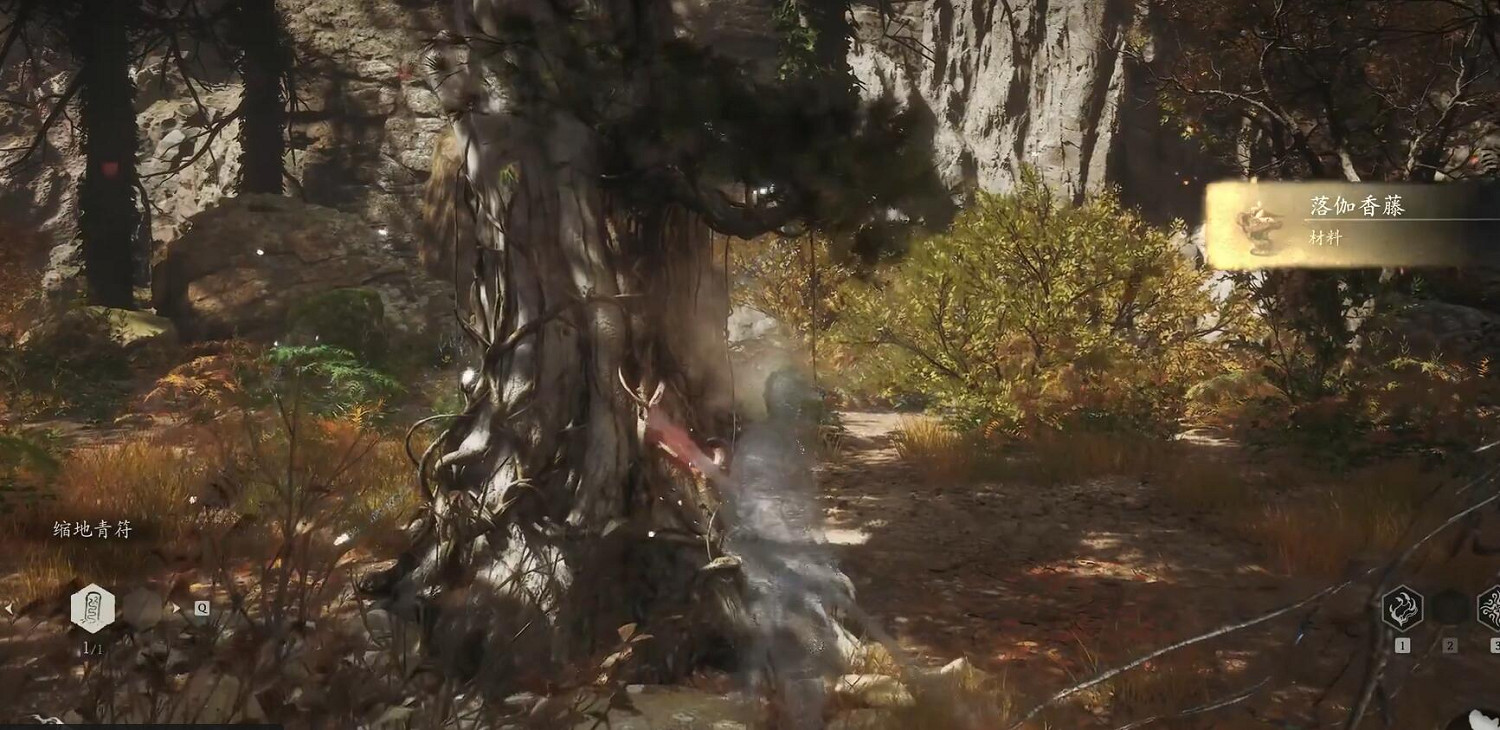 《黑神話悟空》落伽香藤收集位置一覽 《黑神話悟空》落伽香藤收集位置一覽