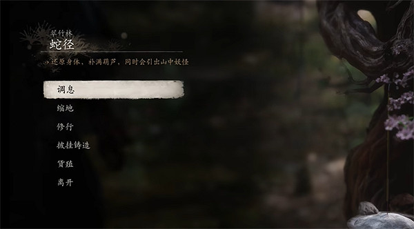 《黑神話悟空》精魄全位置介紹 《黑神話悟空》精魄全位置介紹