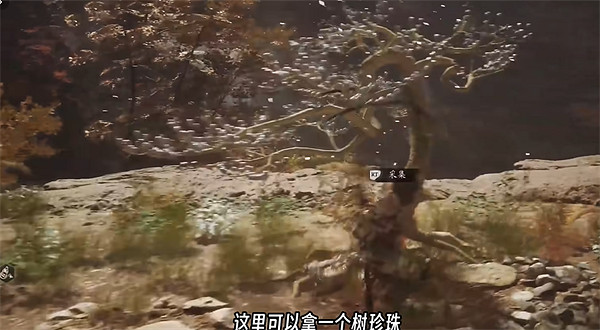 《黑神話悟空》全種子全收集攻略 《黑神話悟空》全種子全收集攻略