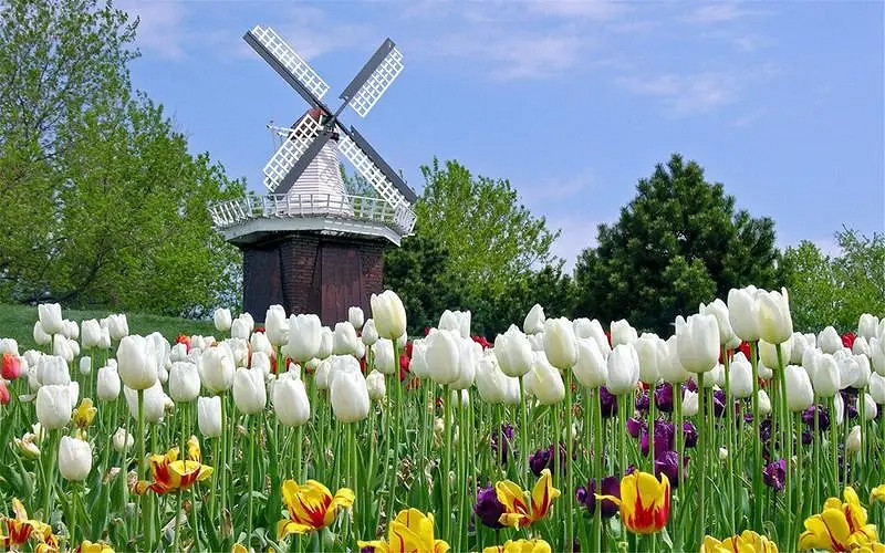 《英雄聯盟》夢幻好聽名字唯美介紹