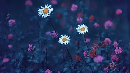 《英雄聯盟》唯美好聽遊戲id大全 《英雄聯盟》唯美好聽遊戲id大全