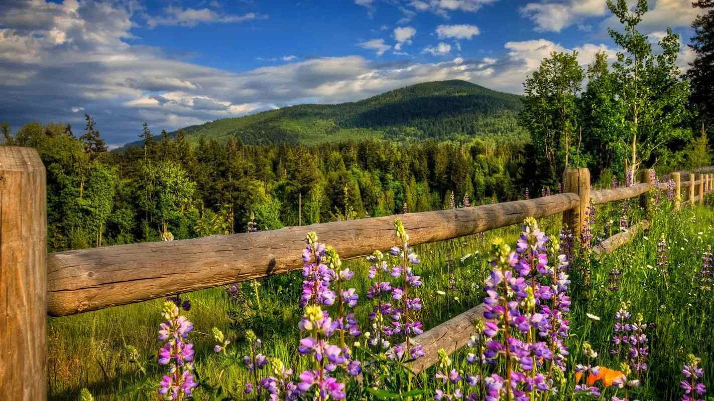 《英雄聯盟》夢幻好聽名字唯美介紹