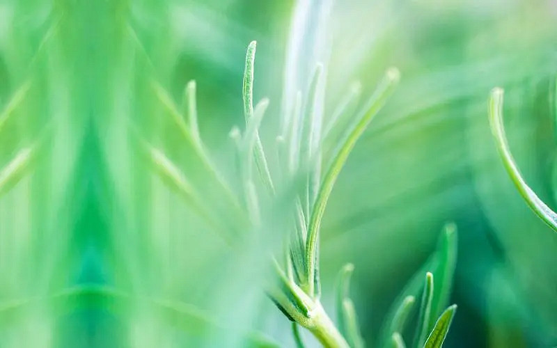 《英雄聯盟》唯美好聽遊戲id大全 《英雄聯盟》唯美好聽遊戲id大全