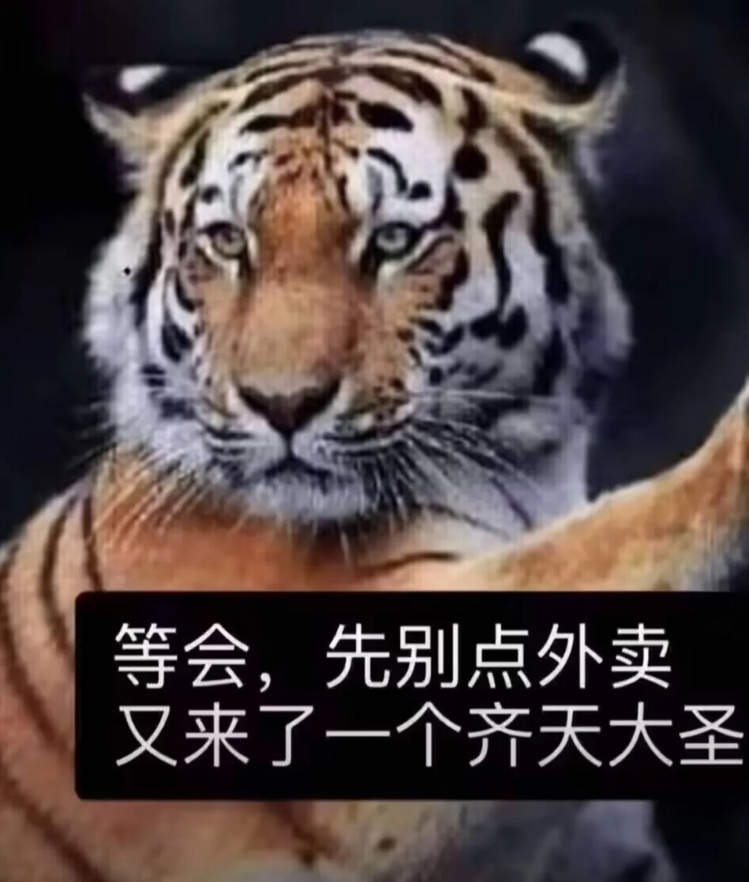 那個猴子又來了！爆火的黑神話，成了主播們的受難記
