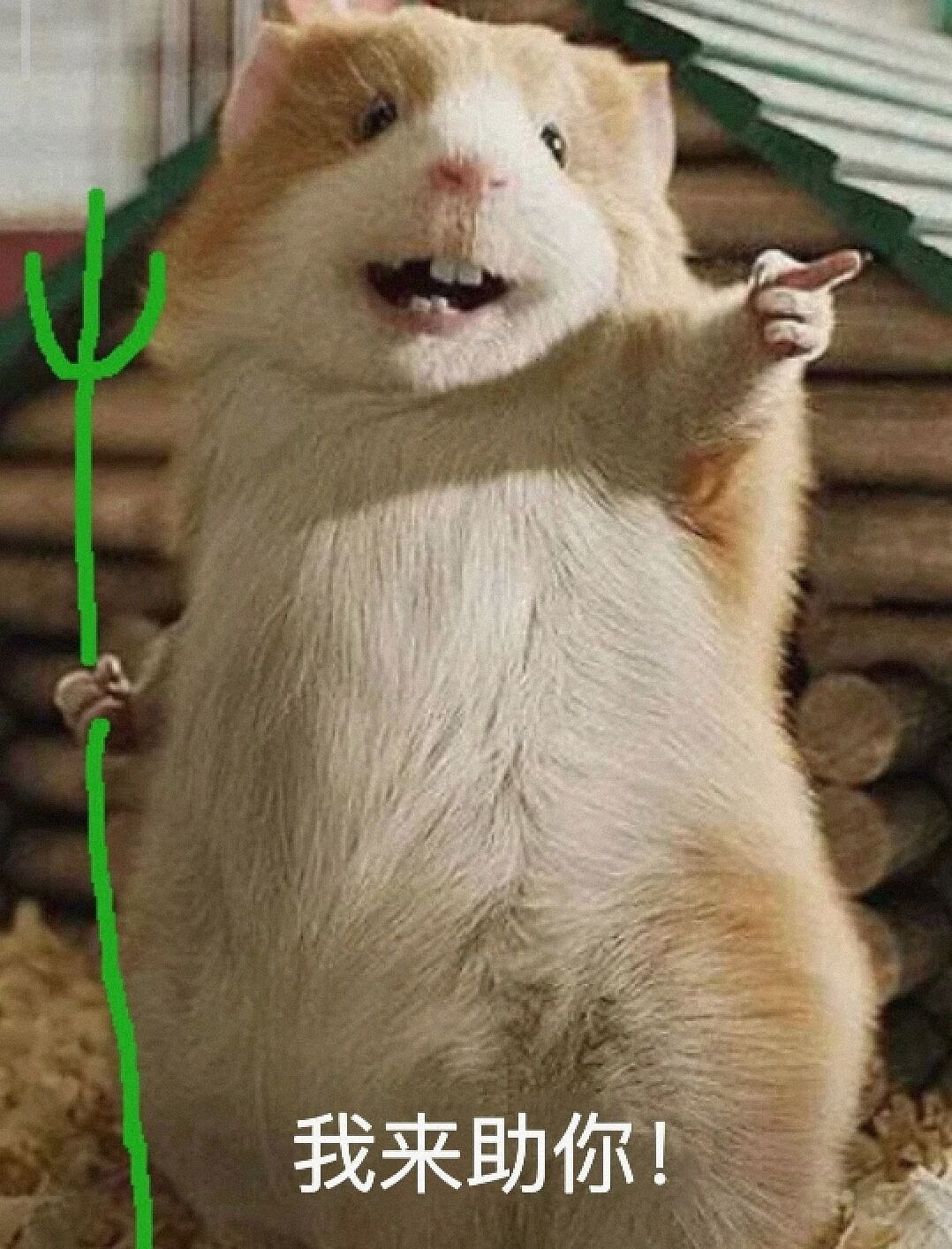 那個猴子又來了！爆火的黑神話，成了主播們的受難記