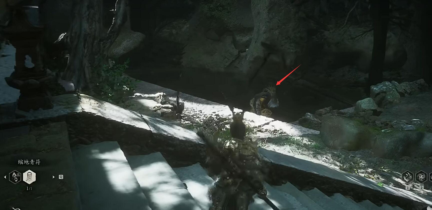 《黑神話悟空》虎筋絛子獲取位置介紹