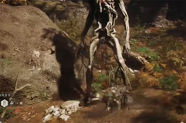 《黑神話悟空》泡酒物收集攻略大全