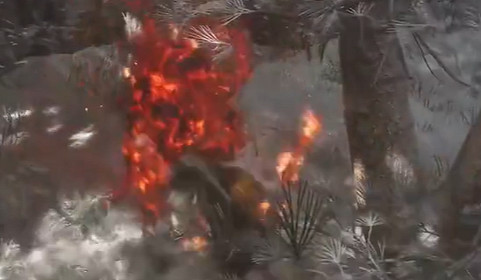 《黑神話悟空》老人參精打法技巧圖文攻略 《黑神話悟空》老人參精打法技巧圖文攻略