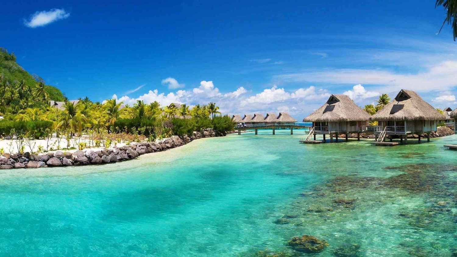 《英雄聯盟》適合做遊戲名字的英文大全