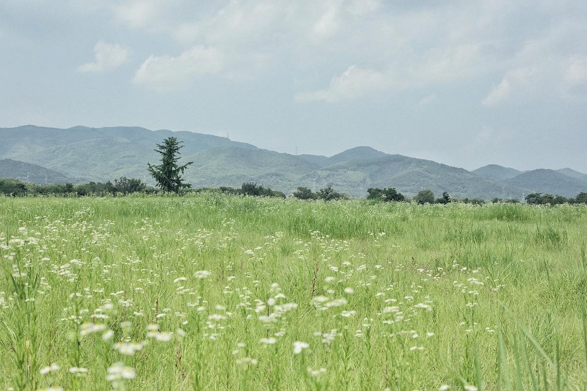 《英雄聯盟》二個字獨特好聽名字大全 《英雄聯盟》二個字獨特好聽名字大全