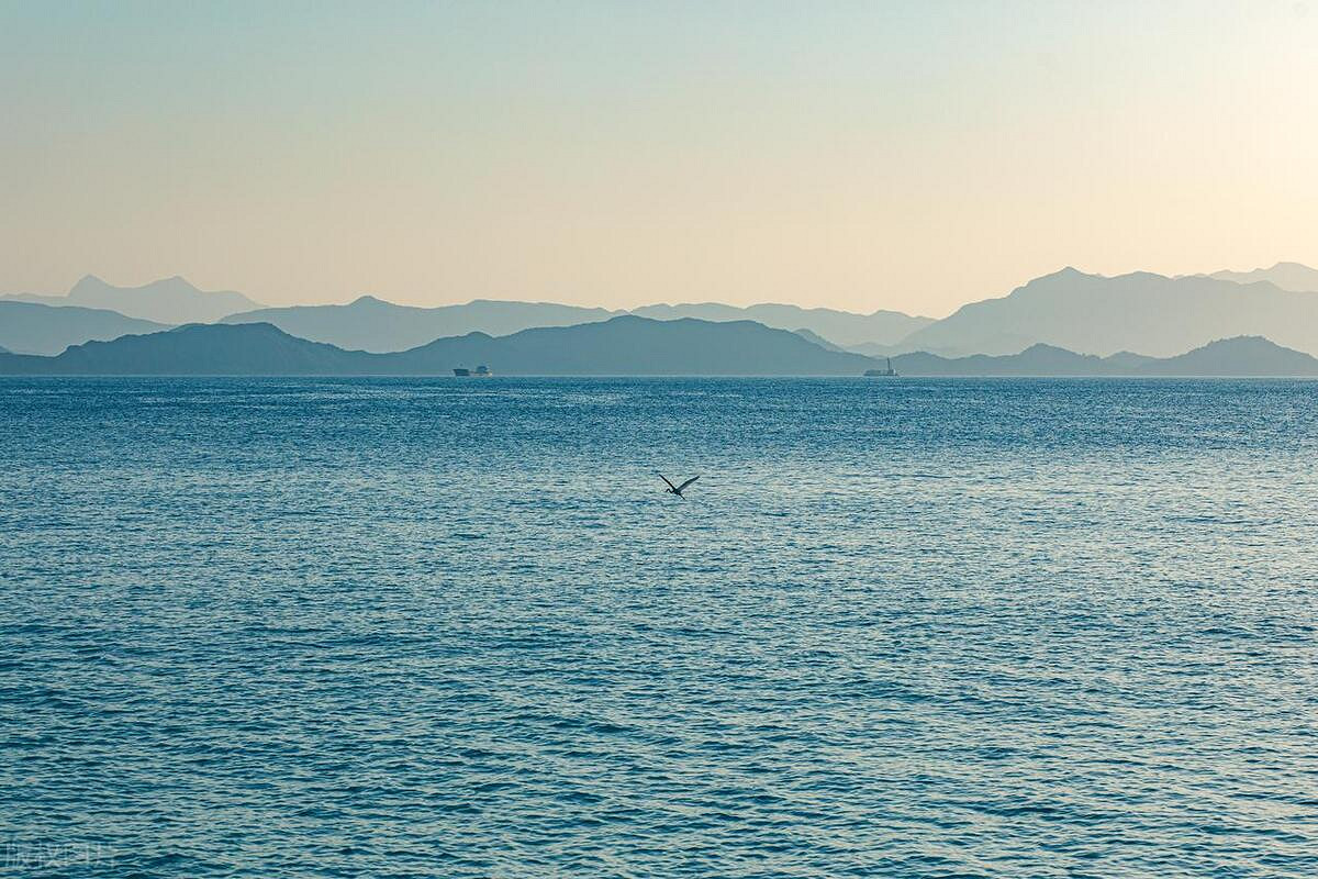 《英雄聯盟》二個字獨特好聽名字大全 《英雄聯盟》二個字獨特好聽名字大全