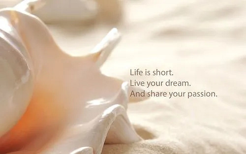 《英雄聯盟》好聽的英文網名大全 《英雄聯盟》好聽的英文網名大全