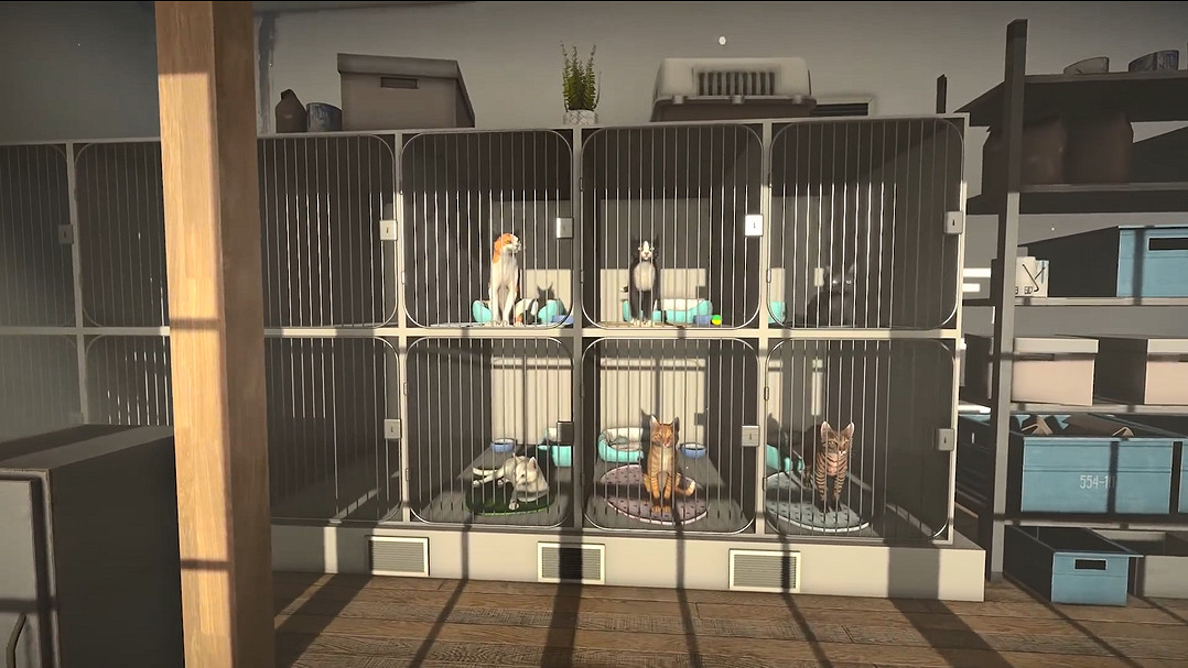 敘事冒險新作《冒牌貓謎》發售日預告公開!9月發售 敘事冒險新作《冒牌貓謎》發售日預告公開!9月發售