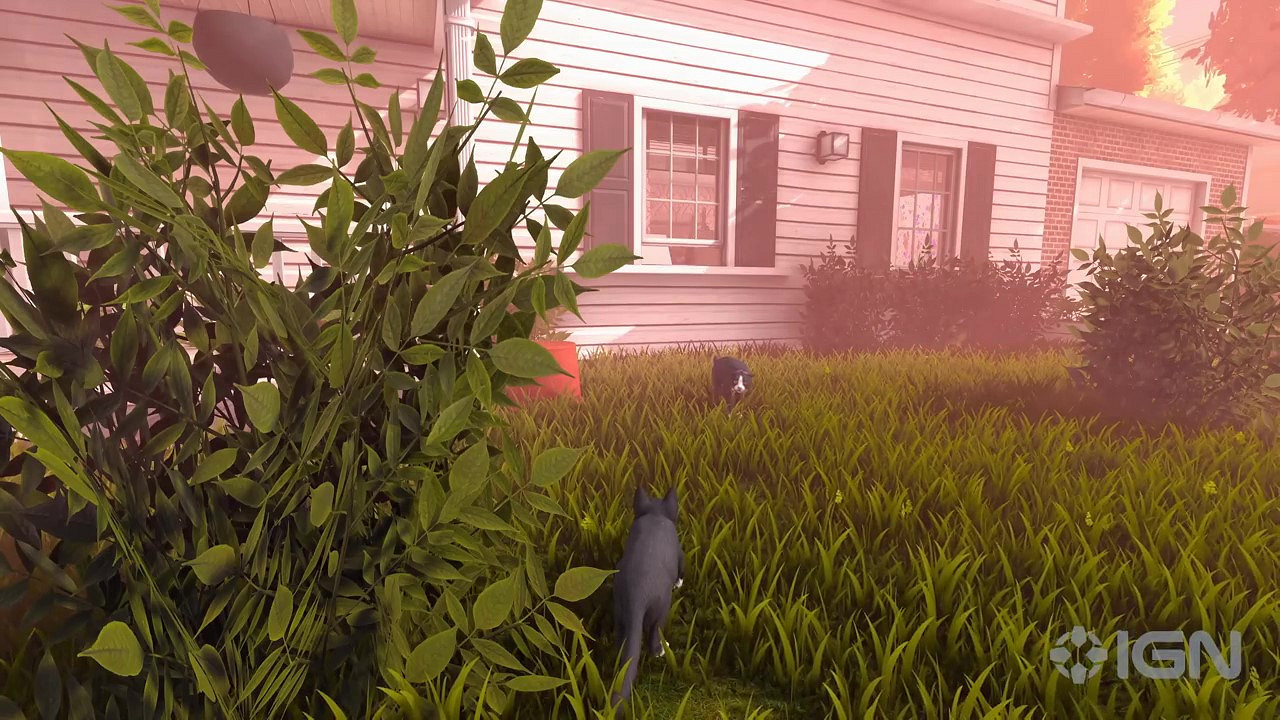 流浪貓模擬器《Copycat》發售日預告 9月20日發售