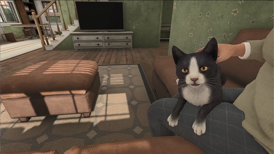 敘事冒險新作《冒牌貓謎》發售日預告公開!9月發售 敘事冒險新作《冒牌貓謎》發售日預告公開!9月發售