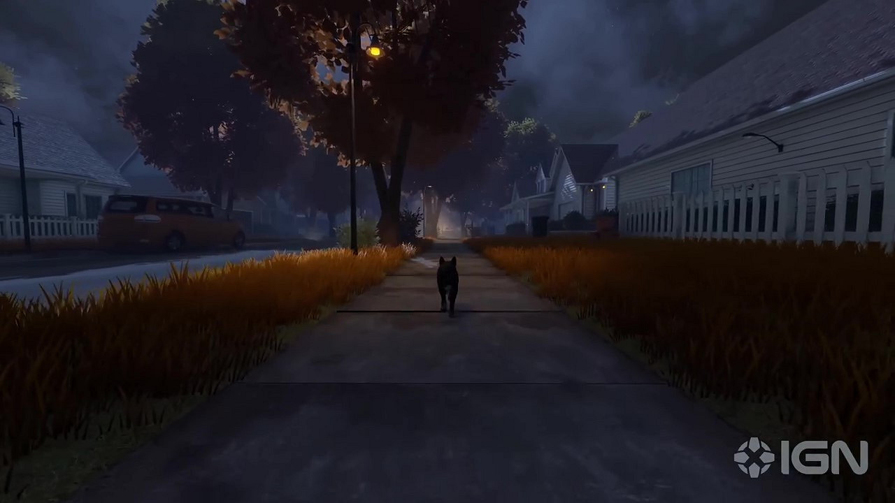 流浪貓模擬器《Copycat》發售日預告 9月20日發售