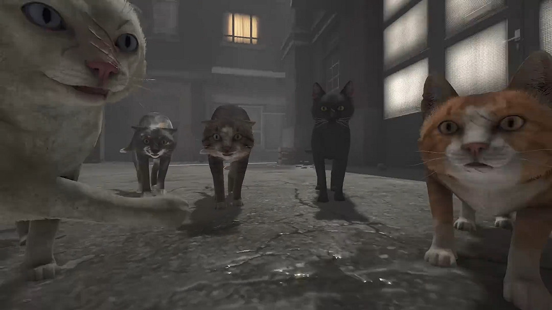 敘事冒險新作《冒牌貓謎》發售日預告公開!9月發售 敘事冒險新作《冒牌貓謎》發售日預告公開!9月發售