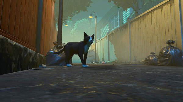 貓咪敘事冒險《冒牌貓謎》登陸Steam 主機版開發中 貓咪敘事冒險《冒牌貓謎》登陸Steam 主機版開發中