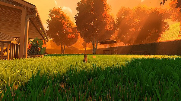 貓咪敘事冒險《冒牌貓謎》登陸Steam 主機版開發中 貓咪敘事冒險《冒牌貓謎》登陸Steam 主機版開發中