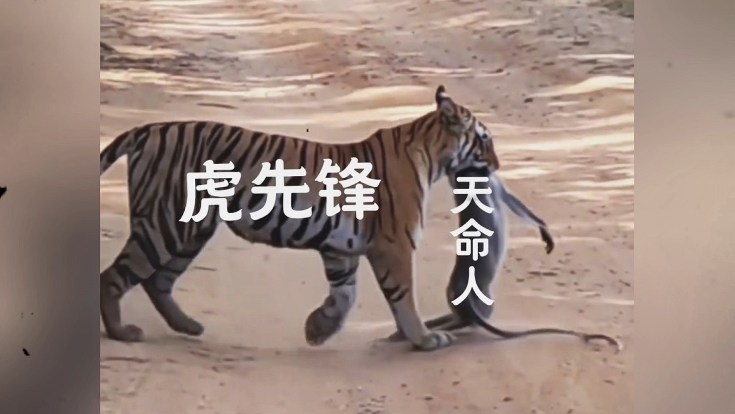 &quot;我來助你&quot;不要太安心！盤點《黑神話:悟空》經典台詞