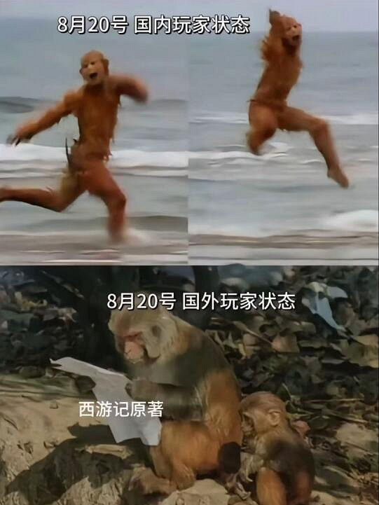 《黑神話》梗圖合集：什麽風靈月影 那是師父教我的本事