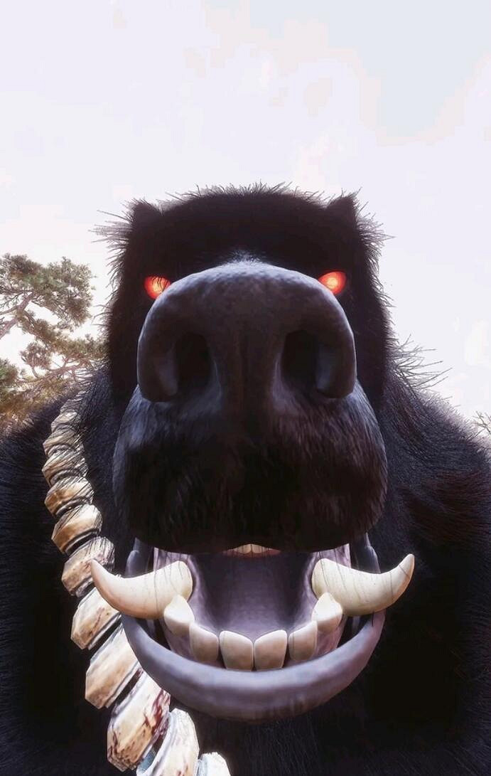 《黑神話》梗圖合集：什麽風靈月影 那是師父教我的本事