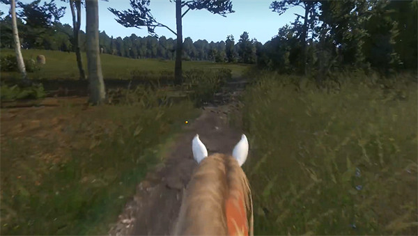 《天國拯救》瓦勒度派異教徒位置 《天國拯救》瓦勒度派異教徒位置