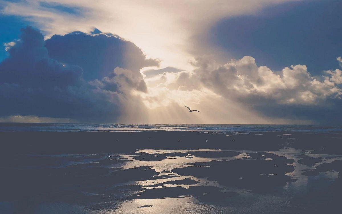 《英雄聯盟》低調又帶點霸氣的行會名字分享