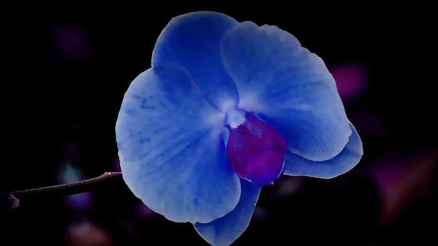 《英雄聯盟》低調又帶點霸氣的行會名字分享