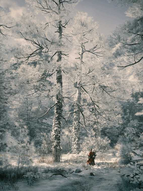 玩家4090攝製《黑神話:悟空》眾多美圖:我的顯卡就是幹這個的! 玩家4090攝製《黑神話:悟空》眾多美圖:我的顯卡就是幹這個的!