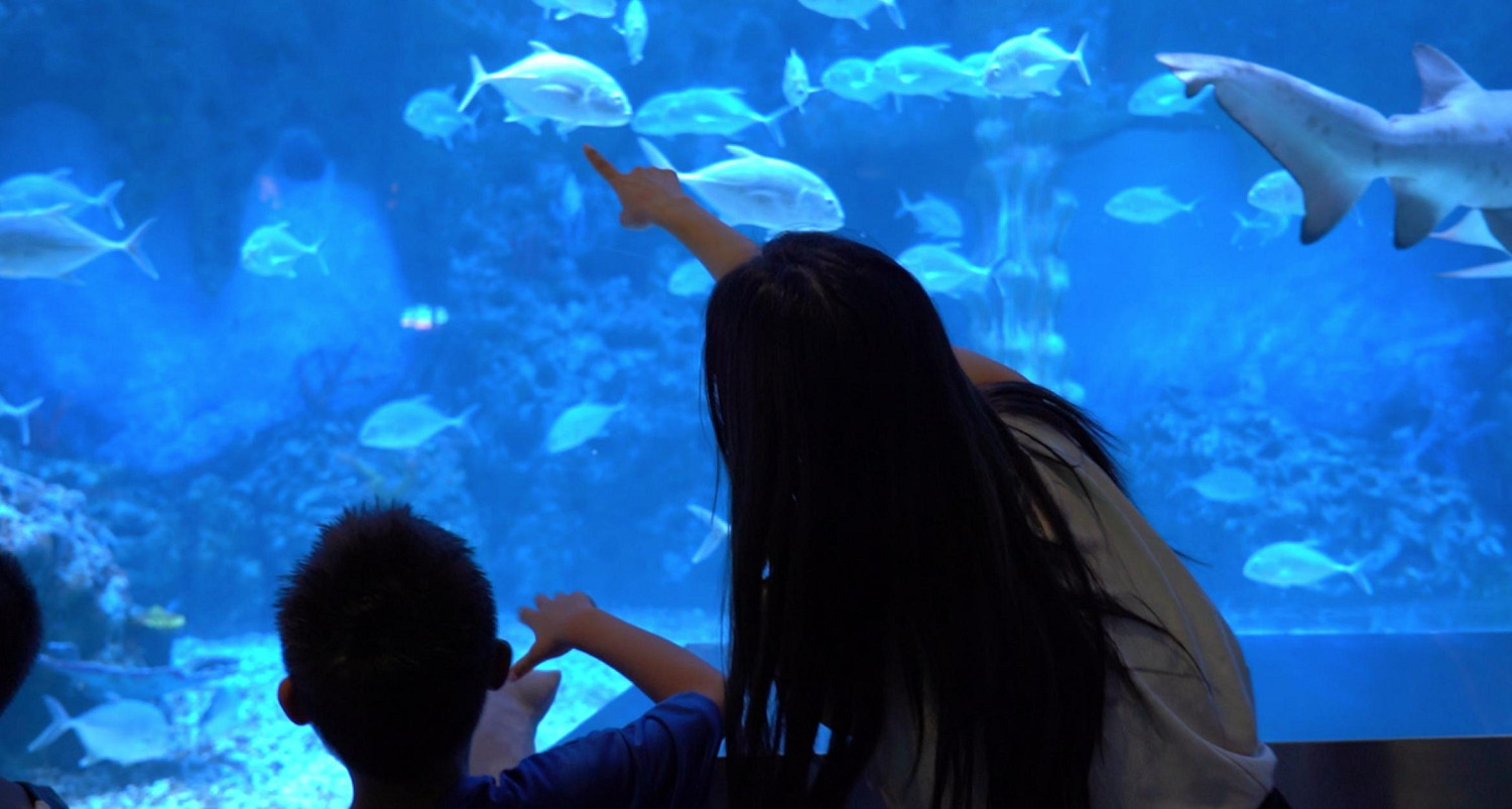 鬥魚攜手新快報開展中秋圓夢聯歡公益活動 與受助兒童共享團圓之樂 鬥魚攜手新快報開展中秋圓夢聯歡公益活動 與受助兒童共享團圓之樂