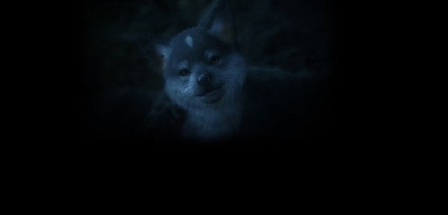 《太空戰士16》全劇情流程攻略 全支線任務全收集攻略 《太空戰士16》全劇情流程攻略 全支線任務全收集攻略