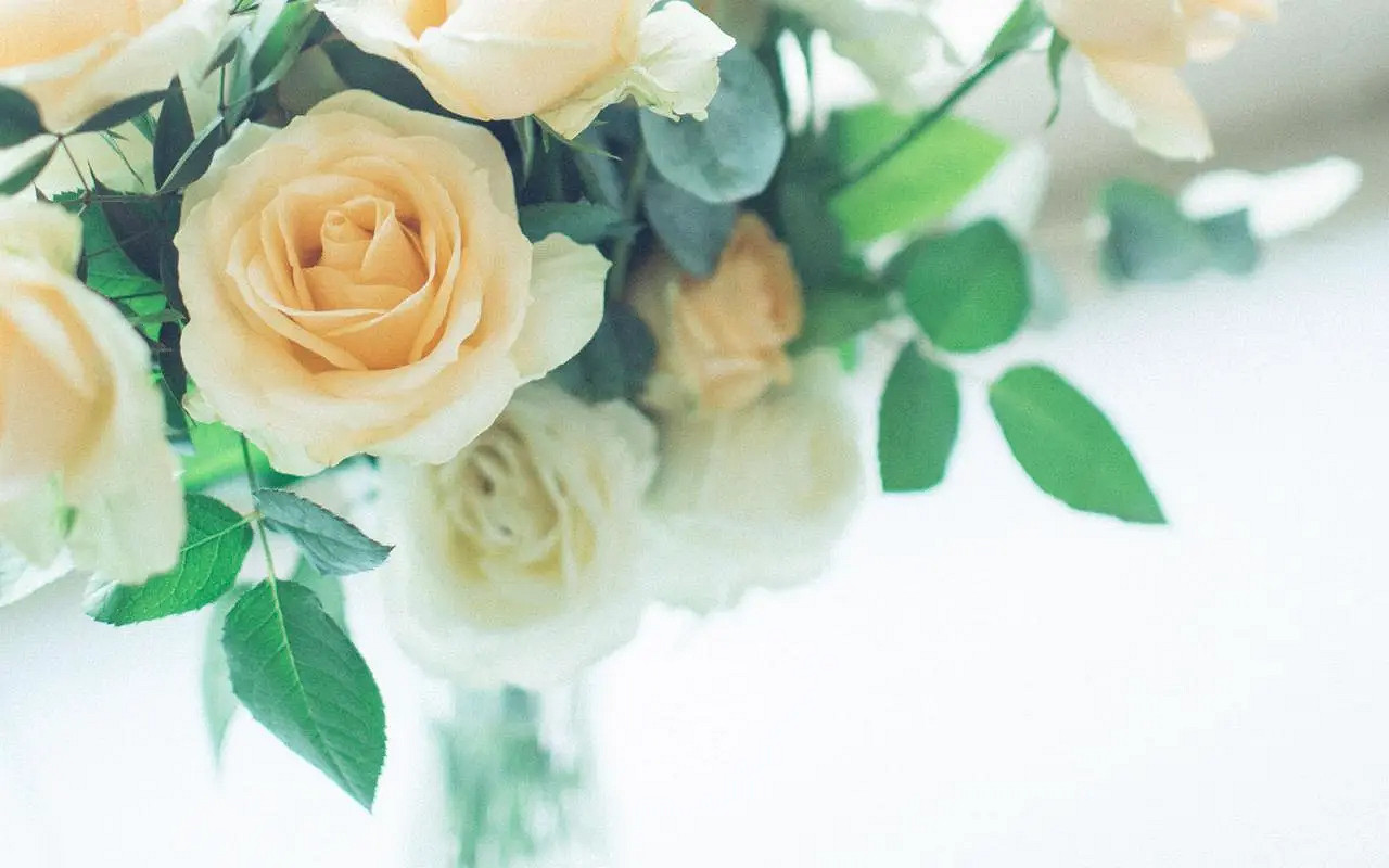 《英雄聯盟》生僻卻美到爆的單字介紹