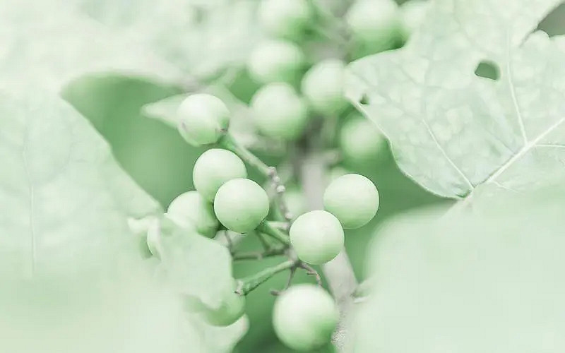 《英雄聯盟》2024最火最好聽的網名介紹