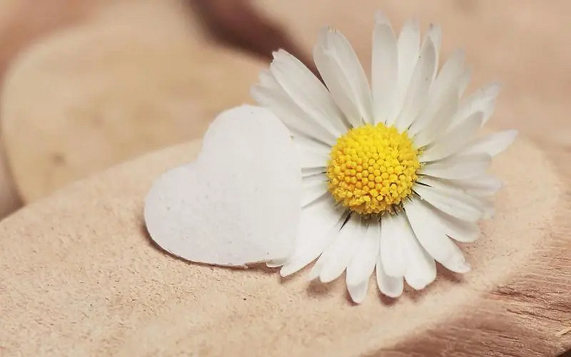 《英雄聯盟》2024最火最好聽的網名介紹